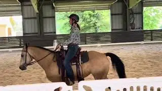 Julia and Holly - Working Equitation Level 2 Dressage Test