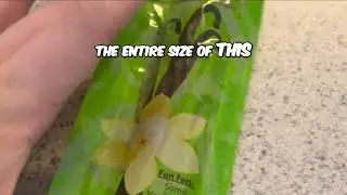 Real vs. Fake Vanilla: The Truth About These $30 Madagascar Beans! (Shocking Test)