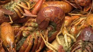 YOUR CRAWFISH CONNECTION IS IN WIGGINS