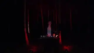 Techno DJ set  from the forest - TECHGUNK