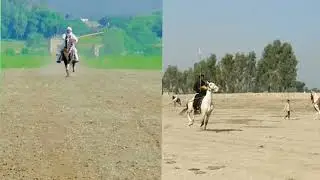Horselovers#pakistanirider #horseriders