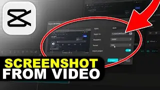 How to Capture a Still Image from Video in CapCut