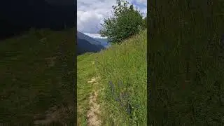 Wundersch&ouml;ne Bergromantik