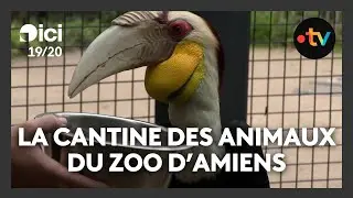 Portes ouvertes : dans les coulisses de la cantine des animaux du zoo d'Amiens