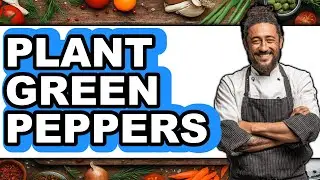 How to Plant Green Peppers 2025 - Easy Guide