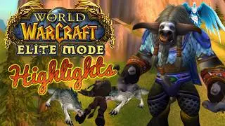 ALL The Brainrot Of Elite Mode (Wow Ascension Adventure Mode Highlights - Bronzebeard)
