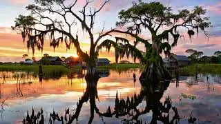 Backwoods Cajun Blues #шорты #музыка #музыкадлянастроения