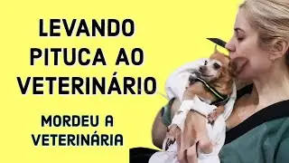 LEVANDO PITUCA AO VETERINÁRIO