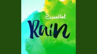Monsoon Rain