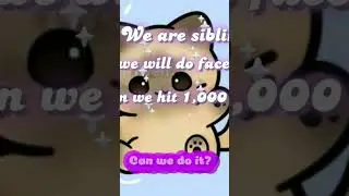1000 subscribers=face reveal