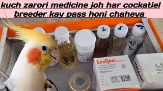 Cockatiel Supplements for Breeding Success / Calcium, Multivitamin breeding / URDU|HINDI ||2025