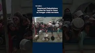 Displaced Palestinians queue for food in Gaza as hunger crisis worsens