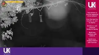 🔴 LIVE: Bird Feeder Buffet 🐦 Broxbourne Riverside Chalets | UK NatureWatch