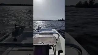 2019 Mako Pro Skiff 15
