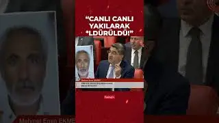 DEVA Partili Ekmen canlı canlı yakılarak kat*edilen iş&ccedil;i Mohammad Nourtani&rsquo;yi TBMM g&uuml;ndemine taşıdı!