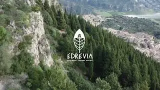 Salita su Monte Consolino - Stilo (RC)