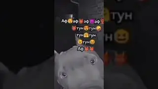 түн түн аф