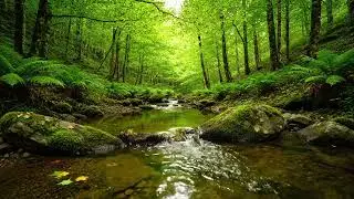 Ambient Piano & Rain Sounds 🌧️ (8 HOURS) | Super Relaxing Music for Sleep, Study & Chill
