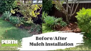 Garden Mulching Services | Perth Gardening Experts