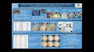 Isolation of Vibrio Coralliilyticus Bacteriophages from Florida Seawater