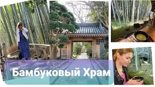 Bamboo Forest in Kamakura.  Бамбуковый Храм (Хококудзи). Часть 2