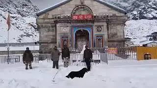 Video from Kedarnath Dham, Rudraprayag, #Kedarnath #KedarnathDham #uttarakhand 
