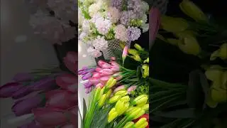 Family Outing&hearts;️#winter #delhi #india#shopping #love #song #trending #food #viral #shortvideo #shorts