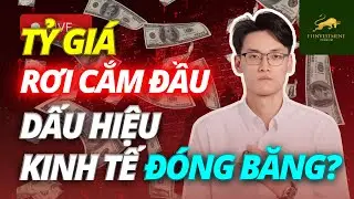 Tỷ giá rơi cắm đầu - Dấu hiệu kinh tế đóng băng? | Chứng Khoán Hôm Nay