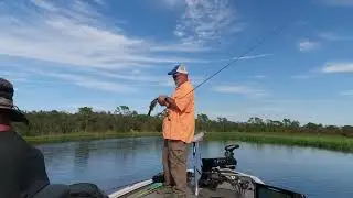 Lake Manatee, Fl