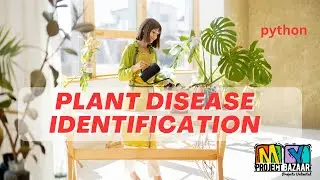 Python-Plant Leaf Identification Using Feature Fusion Wavelet Scattering Network CNN-MyProjectBazaar