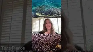 Regenerative #Ocean Farming Creates a Future for Food! #regenerativefarming #farming #sdg14