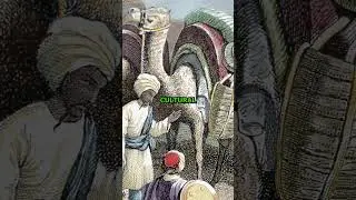 Silk Road Secrets Revealed in 60 Seconds! 🌍✨ #SilkRoad #AncientHistory #TradeRoute