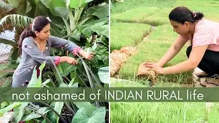real & raw life in RURAL INDIA (we are privileged farmer family!) | RURAL LIFE in Madhya Pradesh