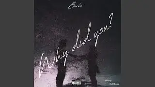 Why Did You
