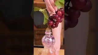 Fun Hacks to Boost Your Plant Game
