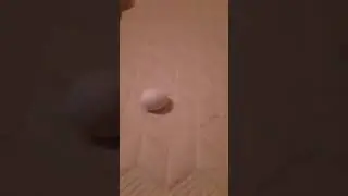 Purple Mattress Egg Test Blooper