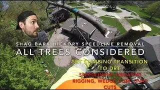 Mastering Speedlining Technique: Hickory Tree Removal with Notch Speedline Slings!