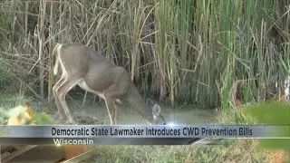 Democratic state lawmakers introduce package of CWD prevention bills