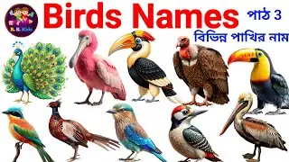 বিভিন্ন পাখির নাম | Birds Name in Bangla & English | Part 3