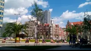 Katowice palmy w centrum