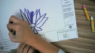 5th grade water lily oil pastel blend