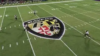 This cannot carry-over to the new Madden release in a couple of months !