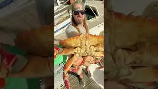 Fresh Local Live Crab, Santa Cruz Harbor R Dock