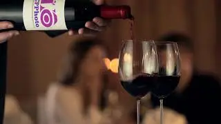🆕animated Logos 🏻 Animated Logos 2020 Video CPPhotoWine Bottle