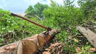 Rinaldi Trento Axe test.