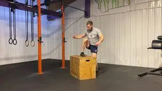 Burpee Box Jump Over