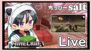 【マイクラ】新ワドクラでなにかをする