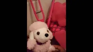 Kaliyahs My Life Dolls and Accessories