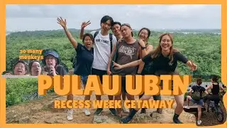 [Y3S2 | Recess Week] Sandy's first time to Pulau Ubin!