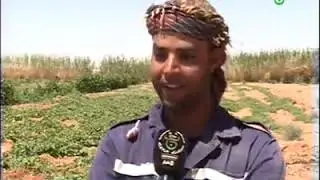 بشار منتوج وافر بالمريجة الحدودية رغم بعض المعوقات